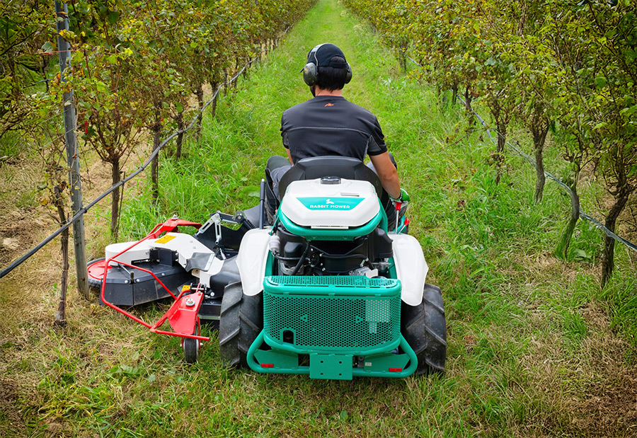 Odchwaszczanie winnic